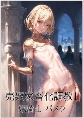 売奴家畜化調教１ 姫騎士パメラ タイトル