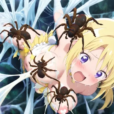 蜘蛛の糾網