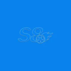 S8