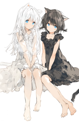 白と黒