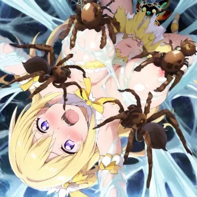 蜘蛛の糾網