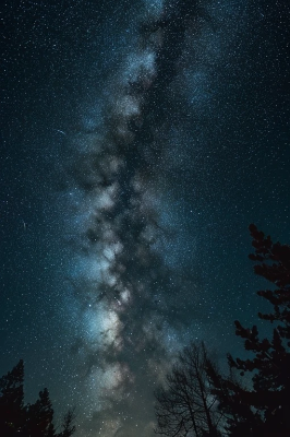 星
