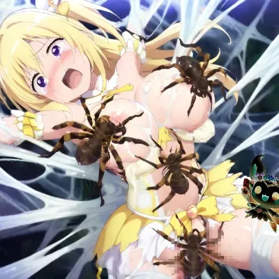 蜘蛛の糾網