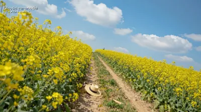 満開の花畑を駆け抜ける解放の瞬間
