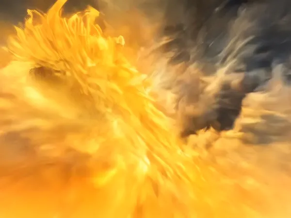 動画・黄金龍変化