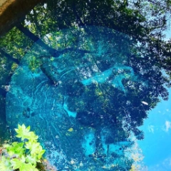 かけら