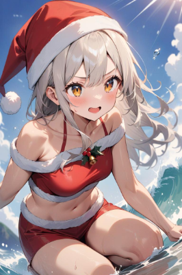 サマー 🎄 クリスマス