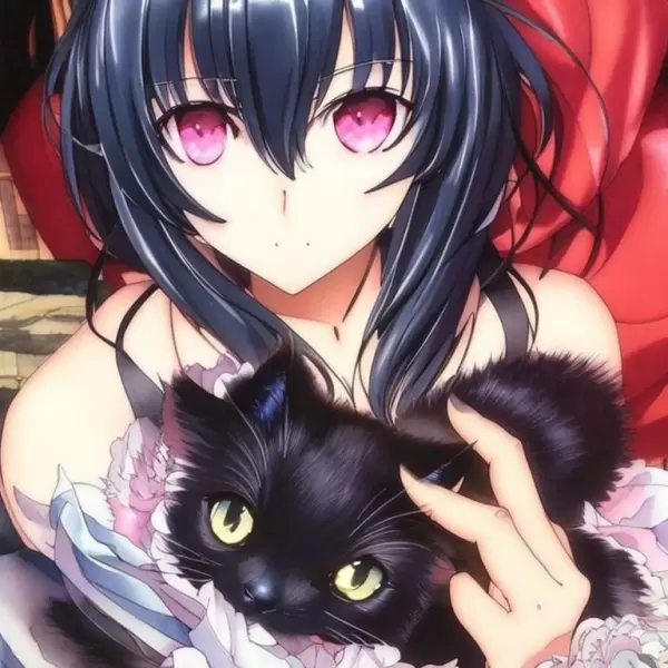 黒猫ともっと仲良ししたい