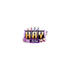 haywin1racing