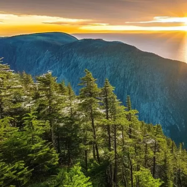 今日は快晴かな？それとも快晴だったのかな？