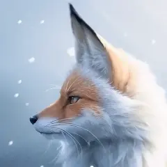 狐耳