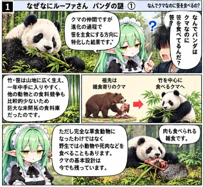 パンダとは？（なぜなにルーファさん）