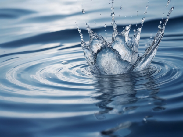 水面・刹那・波紋