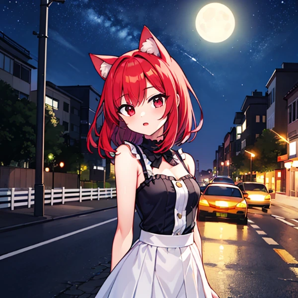 夜道猫娘