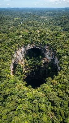 ジャングルの深淵に開く神秘の巨大穴