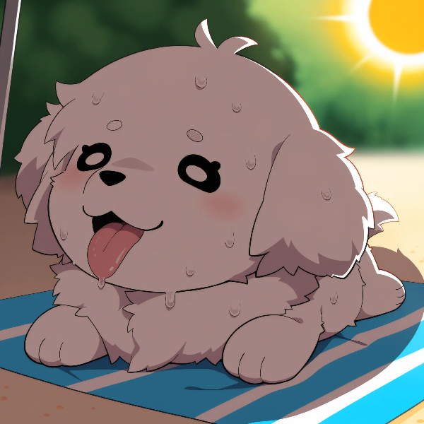 暑い日のわんこ