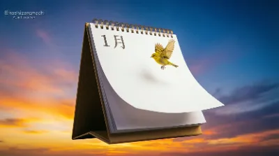 まだ誰のものでもない