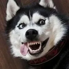 taiyou