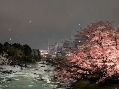 桜