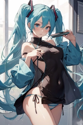 ミクさん
