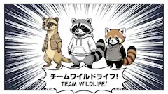 タヌキに間違えられる３匹チーム