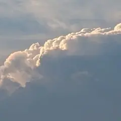 やきめ