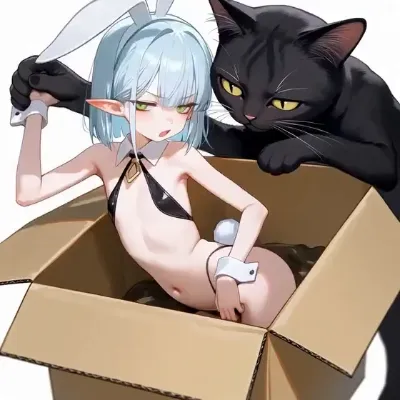 バニーボーイ thumbnail