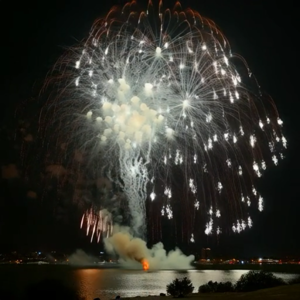 【１０秒動画】花火大会