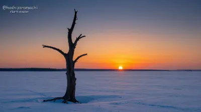 太陽の軌跡：沈みゆく最短の日の光