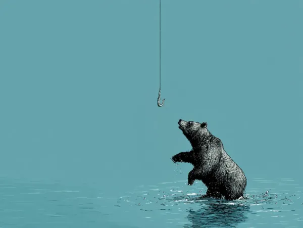 釣られないクマー