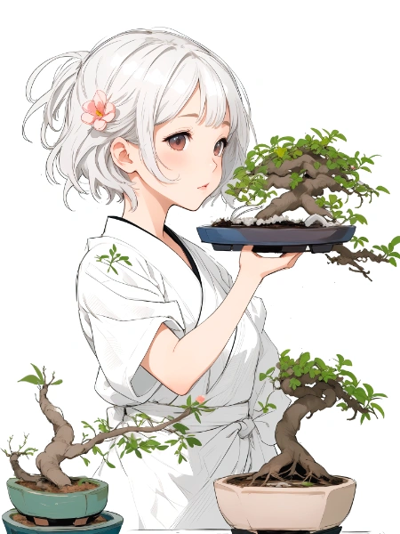 bonsai