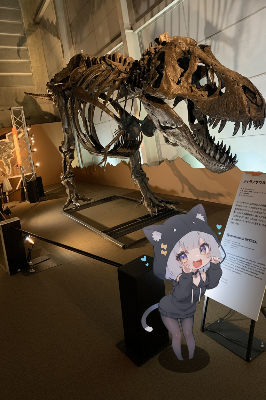 museumのサムネイル