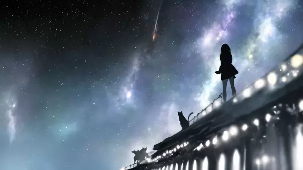 私と猫と星空と