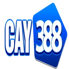 Cay388cam