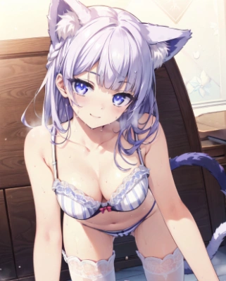 懐いてきたコーチの愛猫