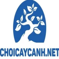 choicaycanhnet1