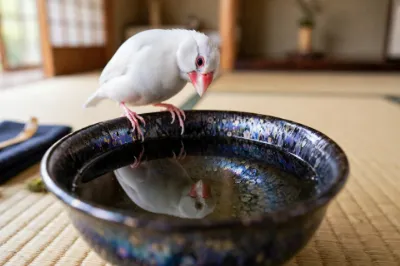 茶室