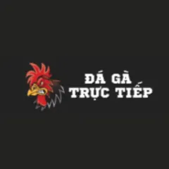 dagatructiep365com