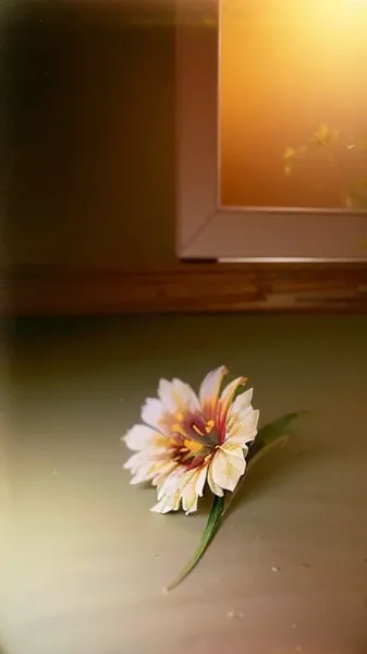 窓辺に残された優しい記憶の花