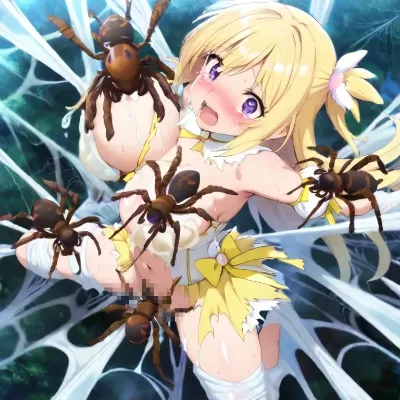 蜘蛛の糾網