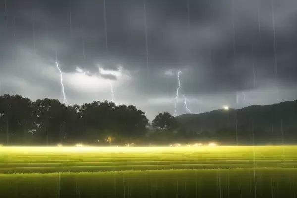 稲を光らせる稲妻