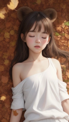 冬眠中
