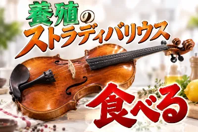養殖ストラディバリウス　食べる