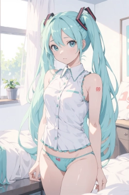 初音ミク(11)