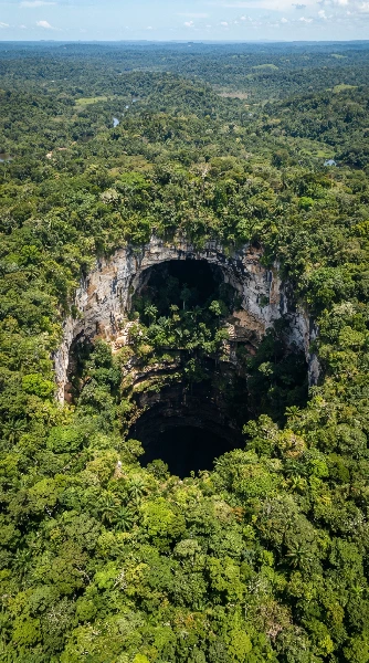 ジャングルの深淵に開く神秘の巨大穴